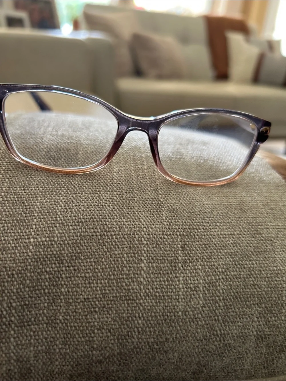 COACH Translucent Gradient Eye Glasses
